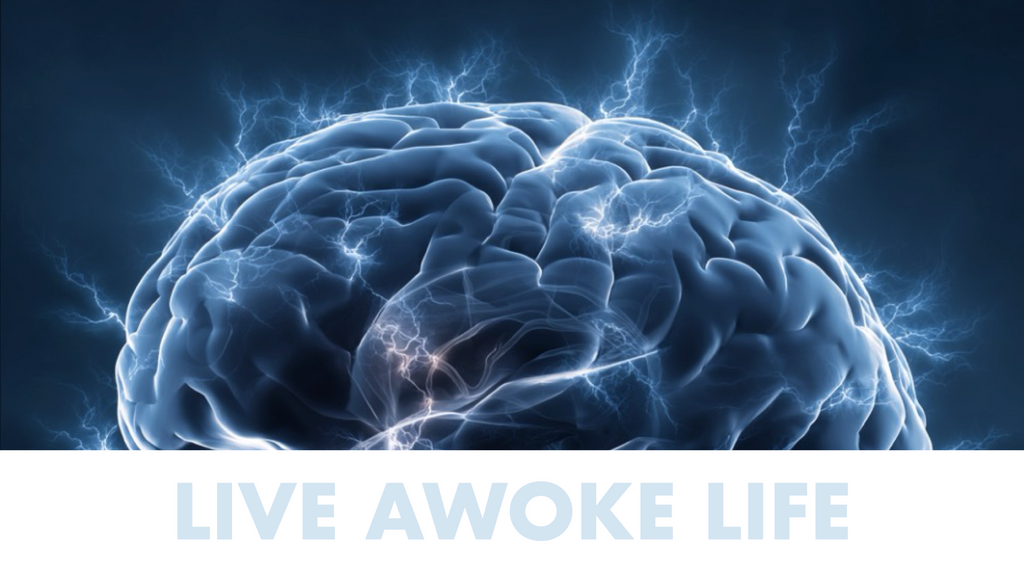 How Energy Gets Stored in the Body